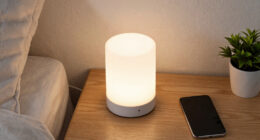 2 Best Home Night Lights in 2026