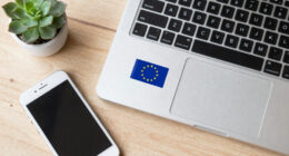 The European Union: Rules First, Cushion Always