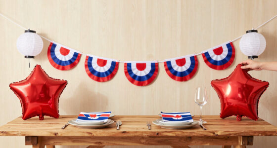 15 Best Patriotic Party Decor in 2026